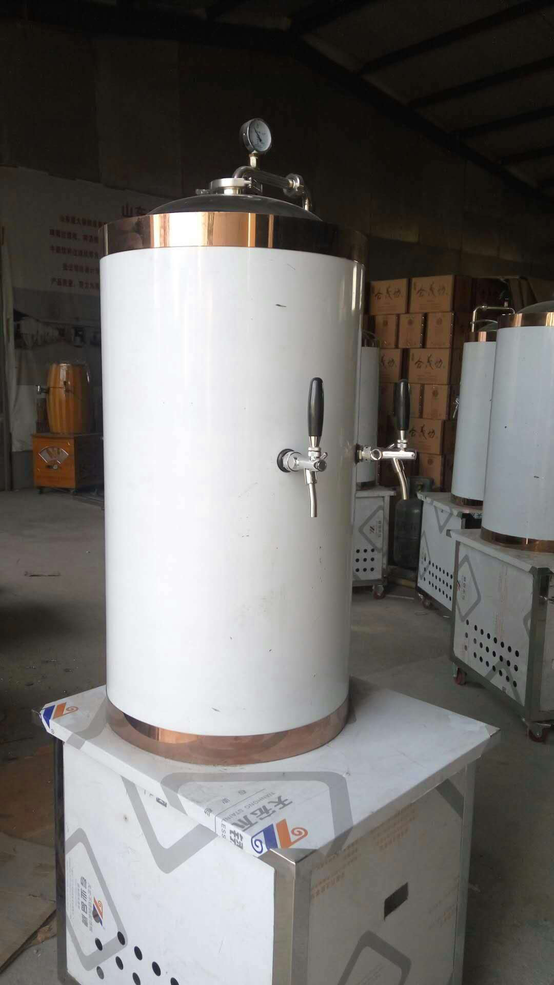 WEMAC High quality All in one intergrated craft beer brewing fermentation tanks hot sell in Peru
